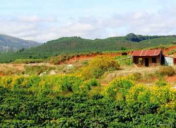 Cần Giờ