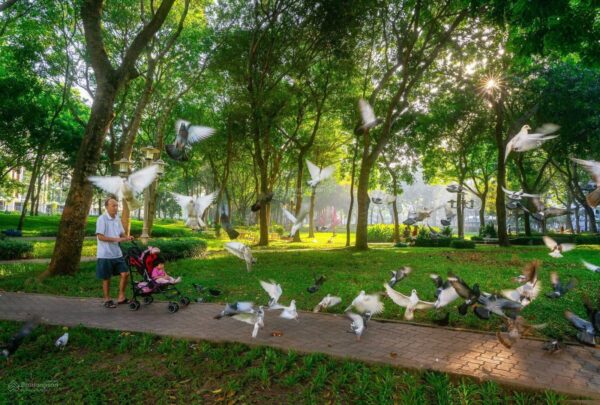 căn hộ Diamond Centery Tân Phú mới nhất tháng 3/2024