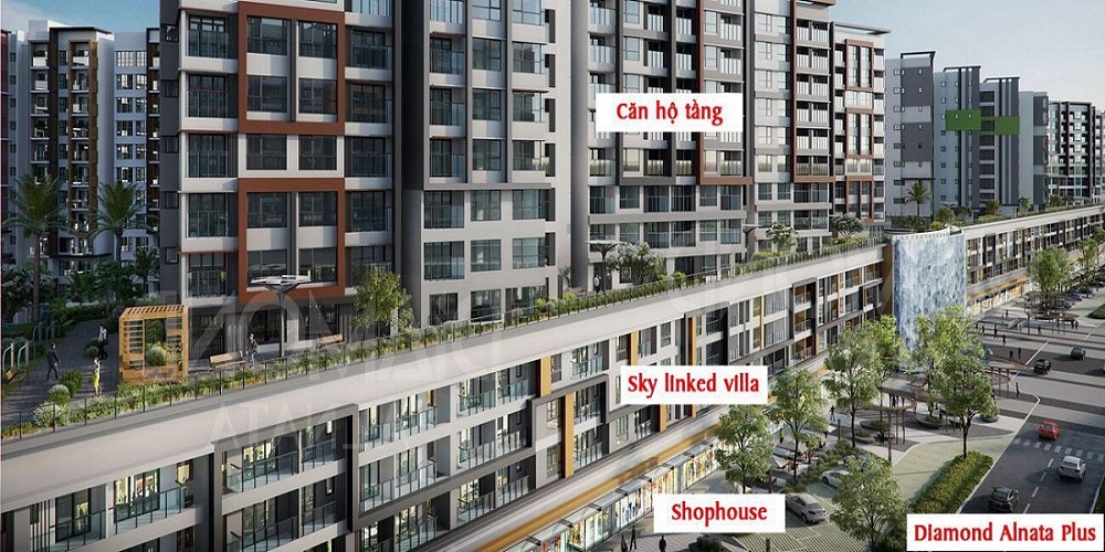 Celadon City Thiết Kế Phân Khu Diamond Alnata Plus